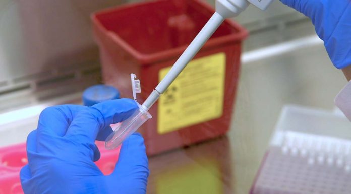 Confirma INDRE dos casos de Ómicron en Guanajuato