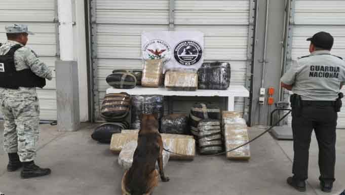 Decomisan más de 163 mil 200 dosis de droga y detectó 11 tomas clandestinas en diferentes municipios Decomisan más de 163 mil 200 dosis de droga y detectó 11 tomas clandestinas en diferentes municipios