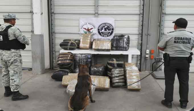 Decomisan más de 163 mil 200 dosis de droga y detectó 11 tomas clandestinas en diferentes municipios Decomisan más de 163 mil 200 dosis de droga y detectó 11 tomas clandestinas en diferentes municipios