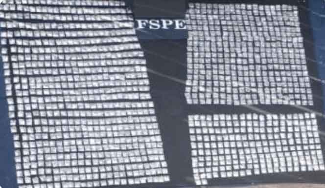 Más de 8 mil dosis de diversas drogas, fueron aseguradas por el Operativo Guanajuato Seguro Más de 8 mil dosis de diversas drogas, fueron aseguradas por el Operativo Guanajuato Seguro