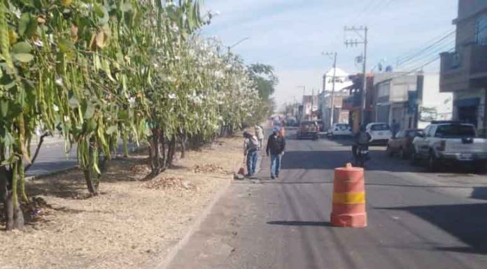 Busca Salamanca eficientar los Servicios Públicos Busca Salamanca eficientar los Servicios Públicos