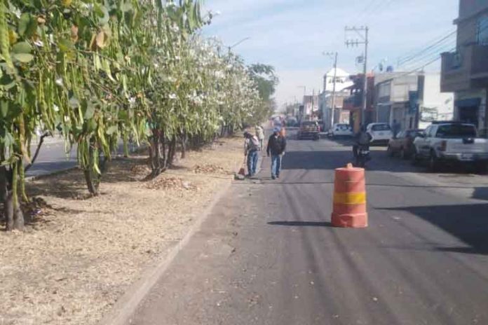 Busca Salamanca eficientar los Servicios Públicos