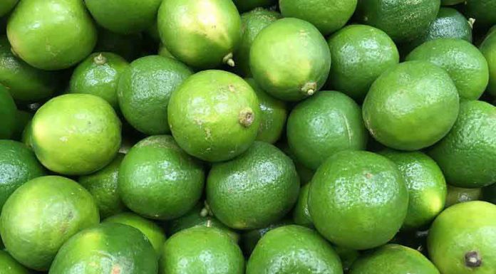 Precio del limón sube 153% por escasez Precio del limón sube 153% por escasez