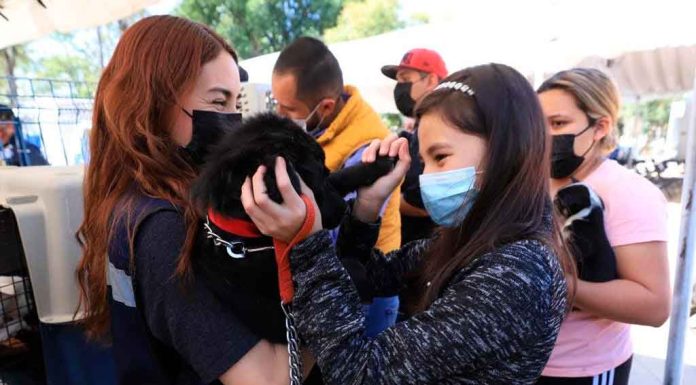 Presentan el escuadrón de rescate animal Presentan el escuadrón de rescate animal