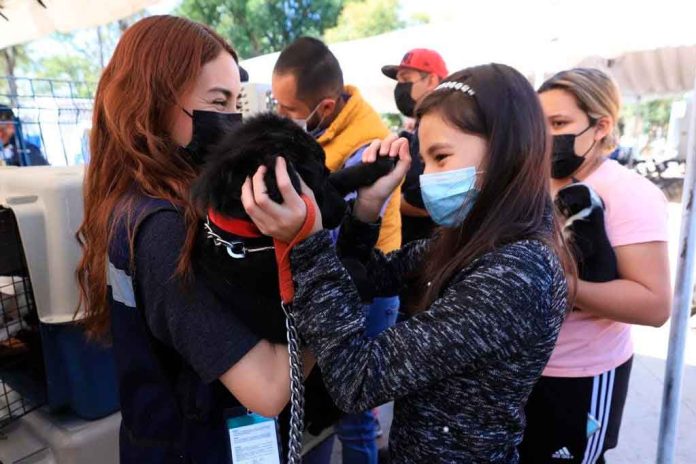 Presentan el escuadrón de rescate animal