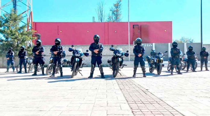 Se refuerza la seguridad en Salamanca con el grupo Águilas Se refuerza la seguridad en Salamanca con el grupo Águilas