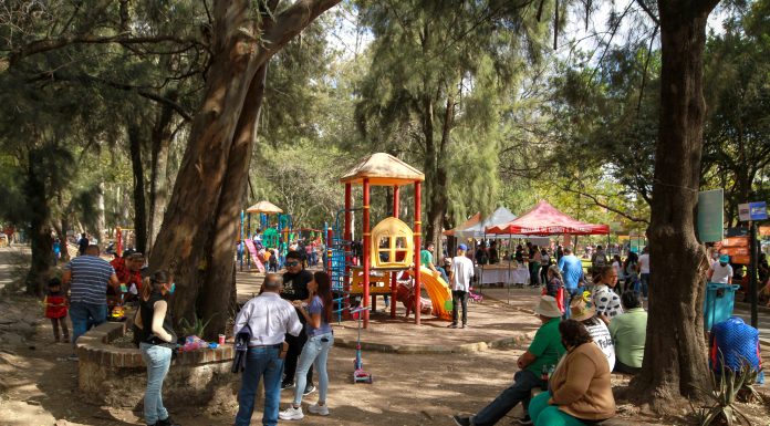 Acuden 30 mil leoneses a espacios gratuitos con “pase verde”