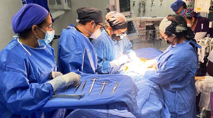 Logra IMSS Guanajuato primera procuración multiorgánica del año