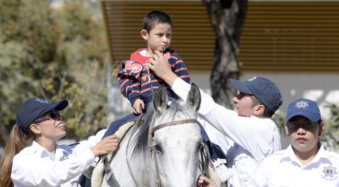 Impulsan equinoterapia para mejorar calidad de vida de infancias en León