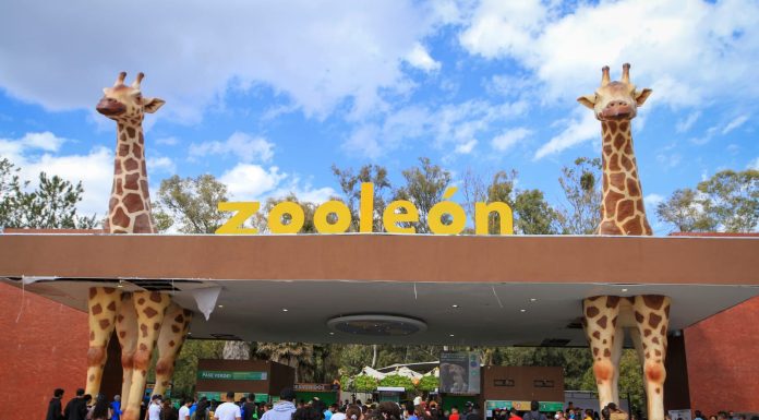 Durante Semana Santa habrá pase gratis en parques de León