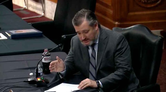 AMLO es una “amenaza” para EU, dice senador republicano Ted Cruz AMLO es una "amenaza" para EU, dice senador republicano Ted Cruz