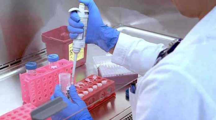 Guanajuato priorizará la prevención y la reacción rápida a los brotes del Sars-Cov2 Guanajuato priorizará la prevención y la reacción rápida a los brotes del Sars-Cov2