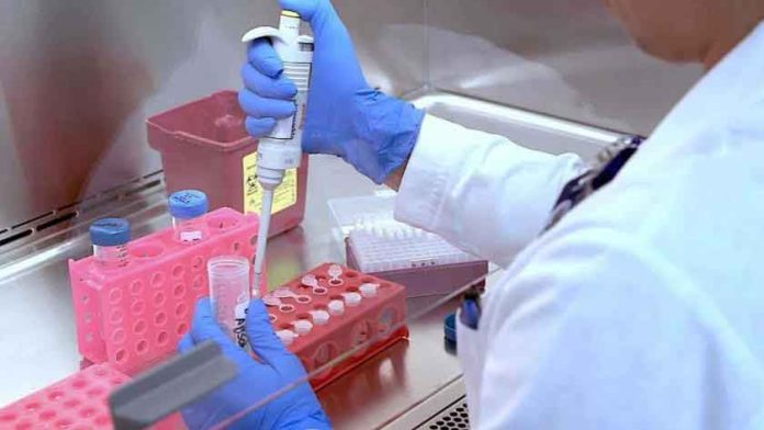 Guanajuato priorizará la prevención y la reacción rápida a los brotes del Sars-Cov2 Guanajuato priorizará la prevención y la reacción rápida a los brotes del Sars-Cov2