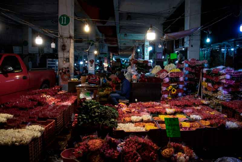 Las flores y el 14 de febrero: un negocio de hasta 2,000 millones de pesos