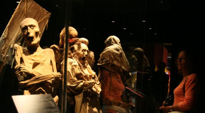 Grupo de científicos darán identidad a las Momias de Guanajuato