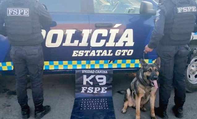 Unidad K9 ayuda a incautar 50 dosis de estupefacientes