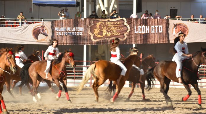 León, sede del caballo y su mundo