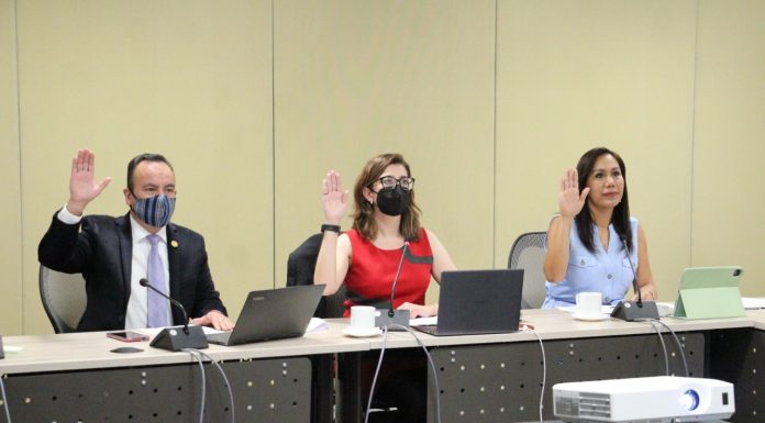 PAN avala dictámen de Ley que fortalece derechos de las mujeres