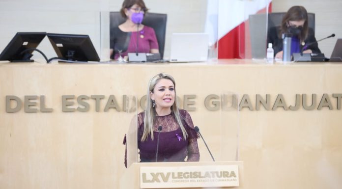 Pide AN endurecer penas contra violencia digital en Guanajuato