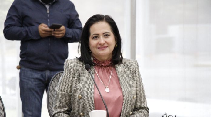 Alma Alcaraz es designada coordinadora de la 4T en Guanajuato