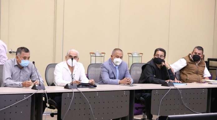 Taxis verdes piden a legisladores terminar con piratería y regular plataformas