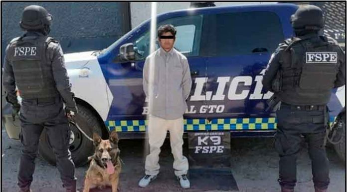 Detiene unidad K9 en León a hombre con droga Detiene unidad K9 en León a hombre con droga