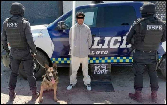 Detiene unidad K9 en León a hombre con droga