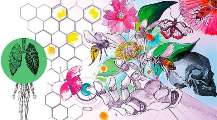 Llega la nueva edición del Festival de Poesía Transdisciplinar Enclave Llega la nueva edición del Festival de Poesía Transdisciplinar Enclave