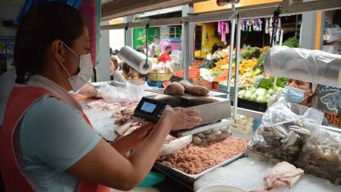 Más de 56 mil kilogramos de pescado y marisco han sido supervisadas por temporada de cuaresma