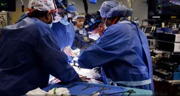 Muere el primer paciente que recibió un trasplante de corazón de cerdo Muere el primer paciente que recibió un trasplante de corazón de cerdo