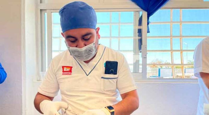 San Francisco del Rincón realiza jornada de esterilización masiva San Francisco del Rincón realiza jornada de esterilización masiva