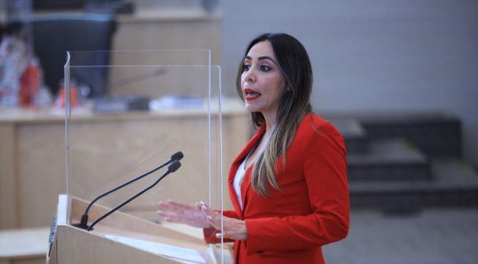 Diputadas proponen modificaciones al delito de violación