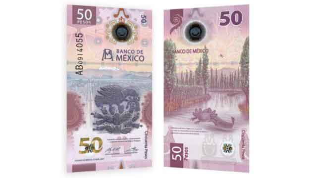 Banxico gana premio al mejor billete del año con el modelo del ajolote Banxico gana premio al mejor billete del año con el modelo del ajolote