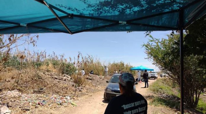 Colectivos de búsqueda en Irapuato encuentran indicios de personas