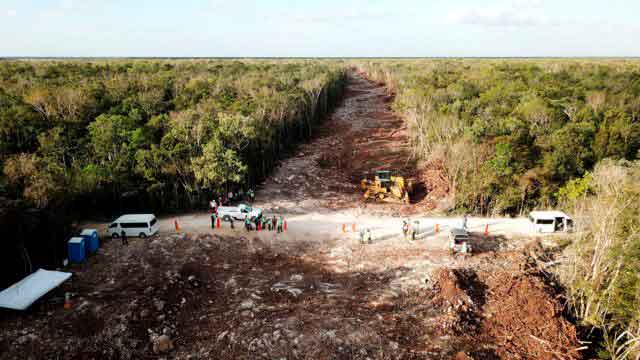 Frenan, otra vez, obras del tramo 5 del Tren Maya por daños ambientales Frenan, otra vez, obras del tramo 5 del Tren Maya por daños ambientales