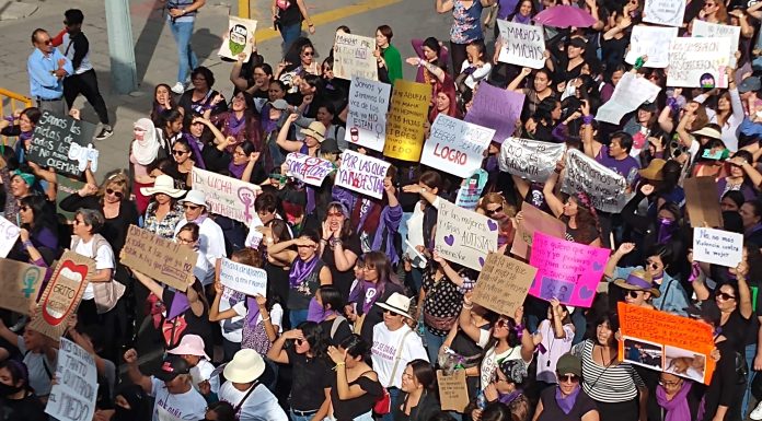 Busca PVEM regular manifestaciones públicas en Guanajuato