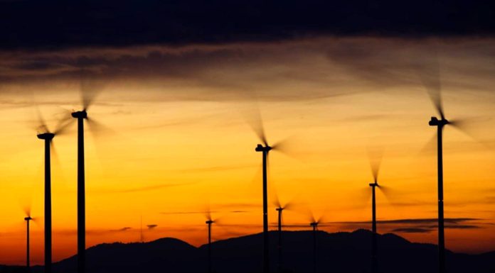 Continuarán inversiones y proyectos para energías limpias en Guanajuato: Diego Sinhué