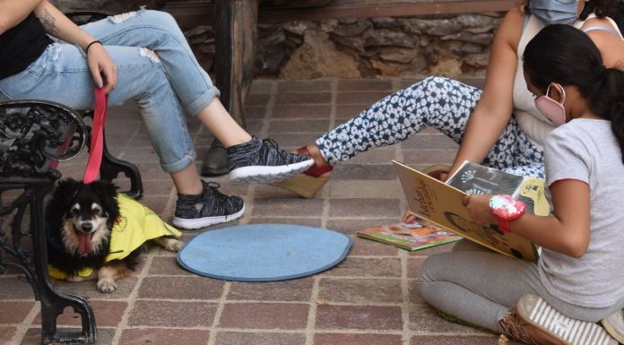 Disfruta este Día del Niño con el Instituto Cultural de León