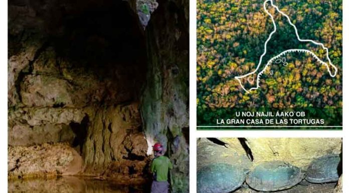 Tren Maya: revelan ‘cenote’ y paraíso ‘oculto’ en Tramo 5 Tren Maya: revelan 'cenote' y paraíso 'oculto' en Tramo 5