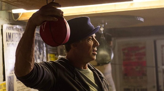 Prepara Rocky Balboa clase masiva de box en CDMX