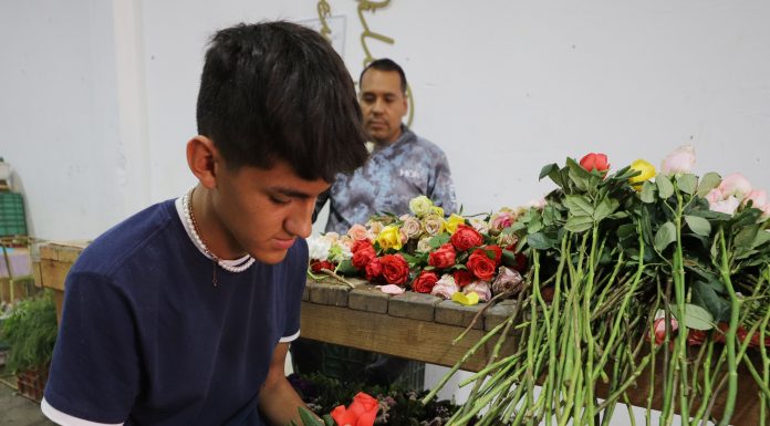 LEÓN | Autorizan instalación de comercios por Día de las Madres