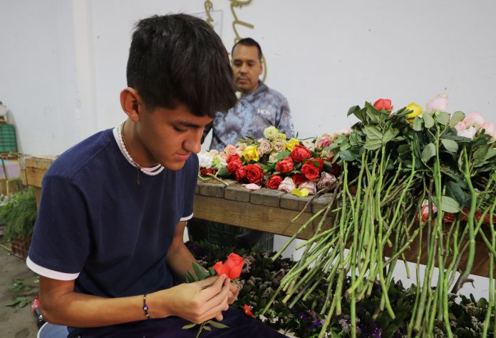 flores