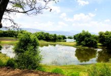 Parques de León son espacios para Educación Ambiental