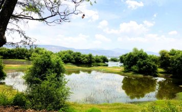 Parques de León son espacios para Educación Ambiental