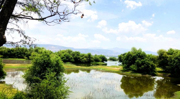 Vive un día especial en el Parque Metropolitano, ¿Cuándo?