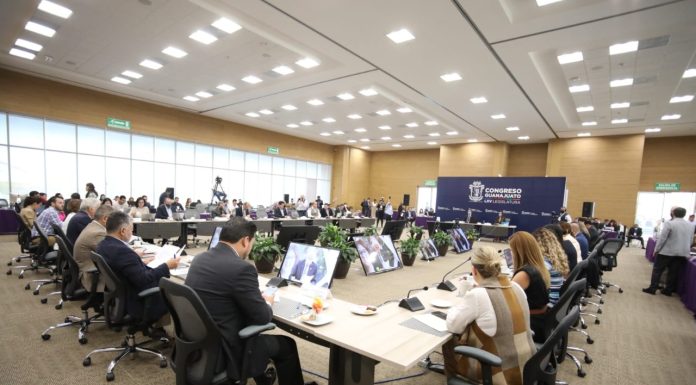 Guanajuato cuenta con 3.8 policías por cada mil habitantes