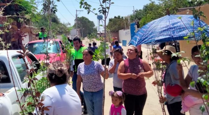 SILAO | Mantienen reforestación constante en el municipio