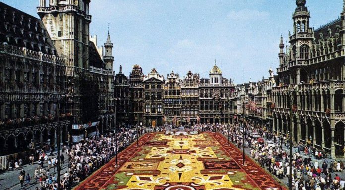 Guanajuato en Bruselas, vuelve la alfombrista uriangatense Roo para 50 aniversario de la Alfombra de Flores Roo vuelve a Bruselas para celebrar 50 años de la Alfombra de Flores en la Grand Place. Foto: Especial.
