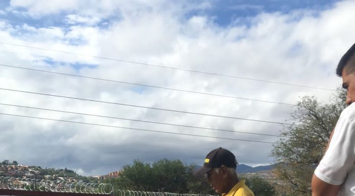 Gobierno de San Miguel de Allende convierte problemática de lirio en solución ambiental