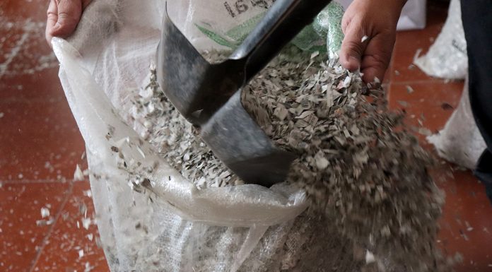 Destruye INE más de 102 mil credenciales para votar en Guanajuato